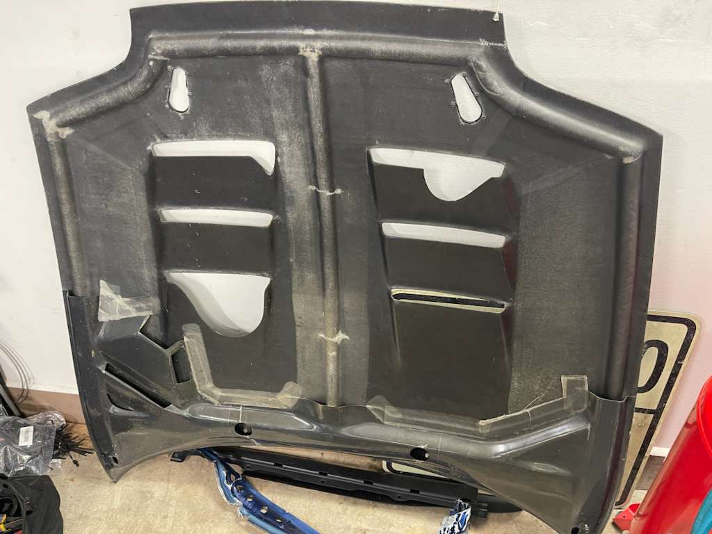 TS Carbon Fiber Hood- PICKUP ONLY